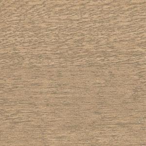 True Taupe Sample
